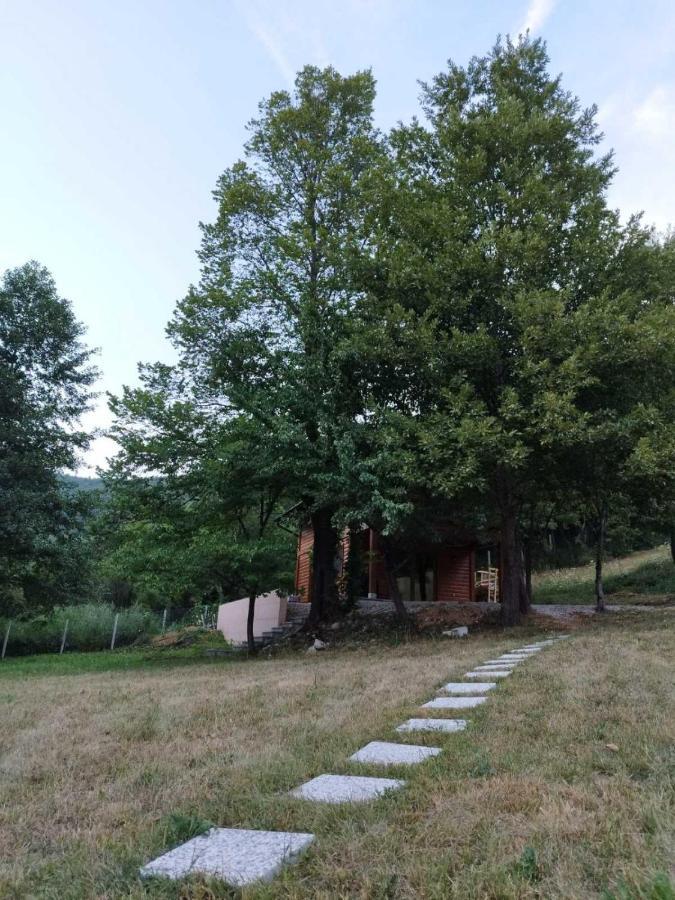 Kuca U Sumi - Forest House Near National Park Una - Air Spa Lohovo Bihać 外观 照片