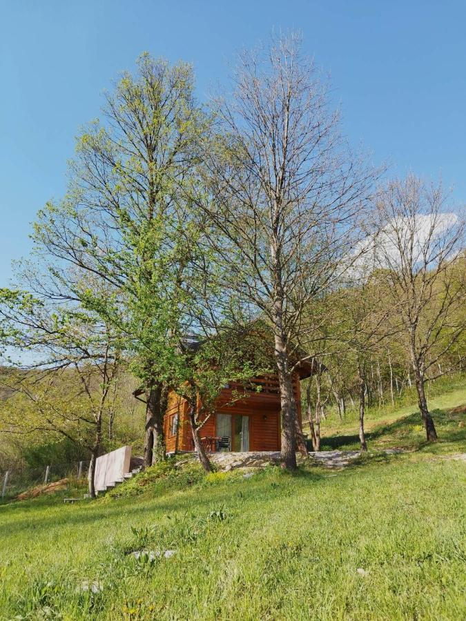 Kuca U Sumi - Forest House Near National Park Una - Air Spa Lohovo Bihać 外观 照片