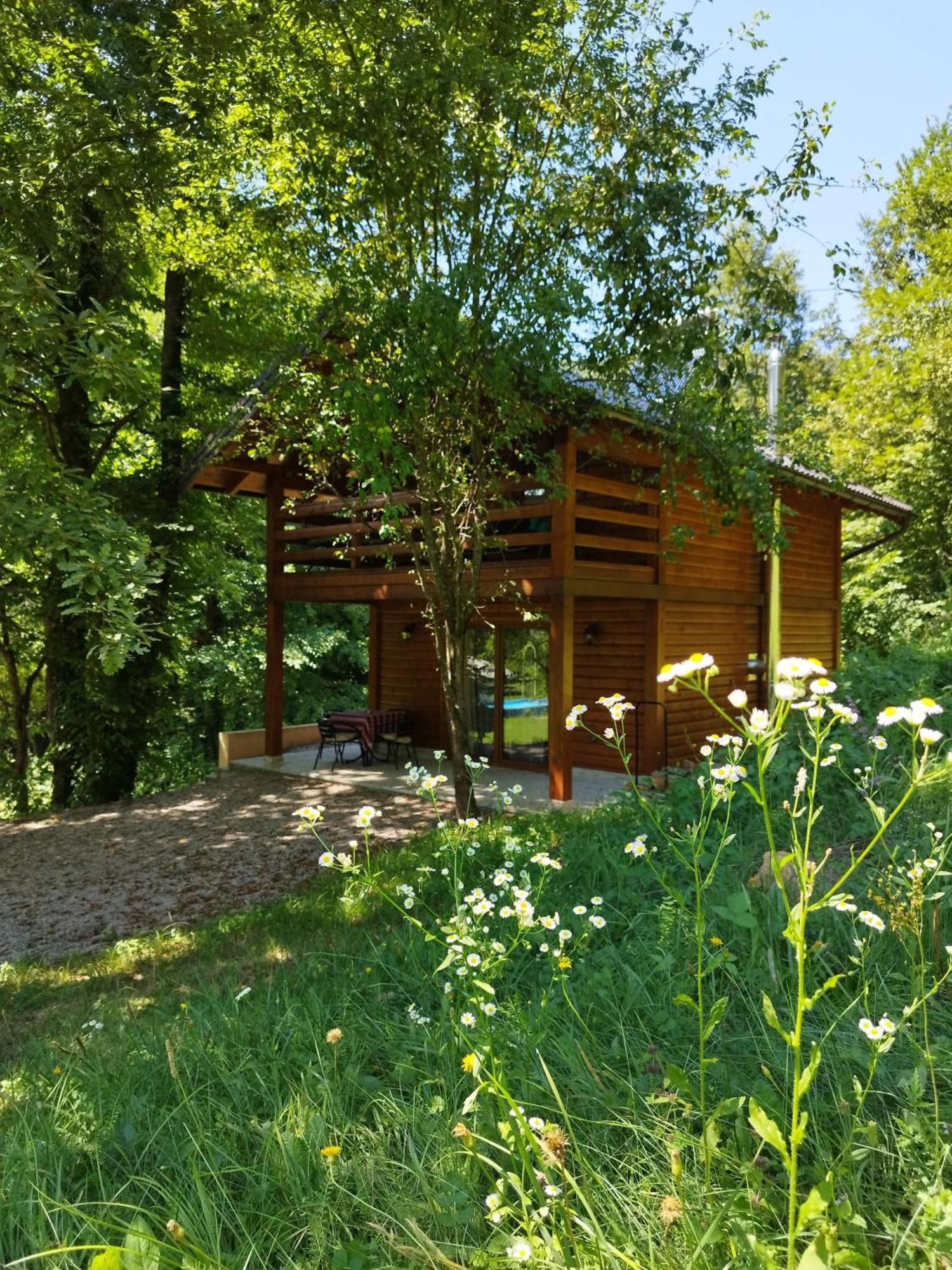 Kuca U Sumi - Forest House Near National Park Una - Air Spa Lohovo Bihać 外观 照片